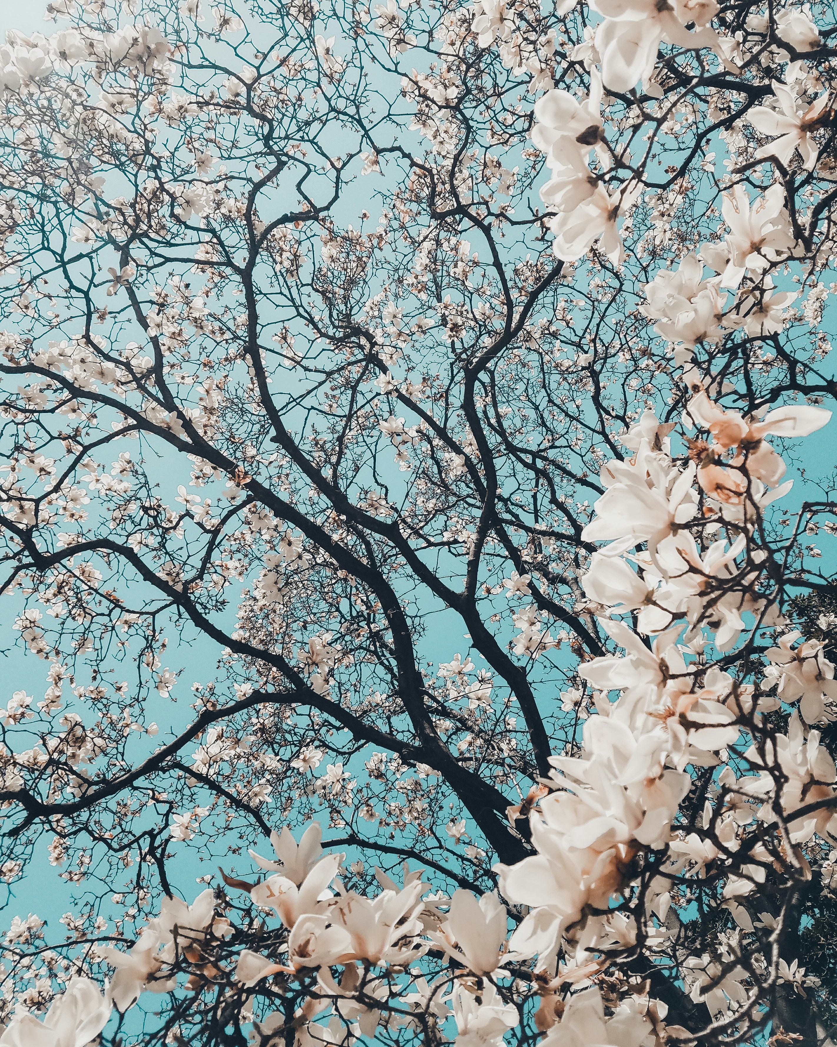 meric dagli unsplash